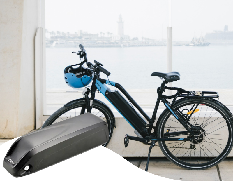 electric bike with lithium battery pack